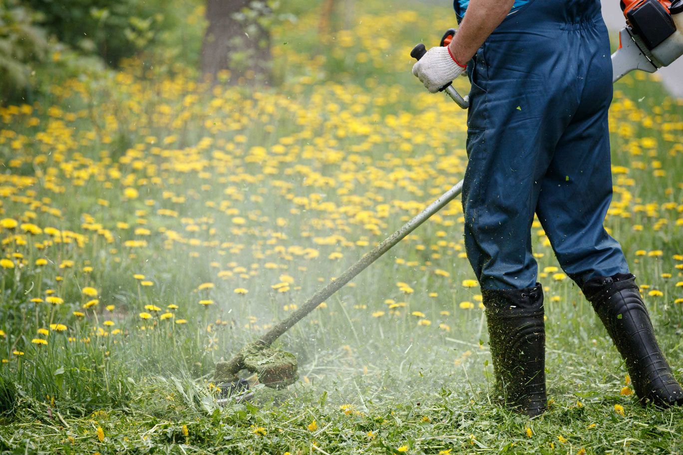 Cordless String Trimmers Brush Cutters and Lawn Ed