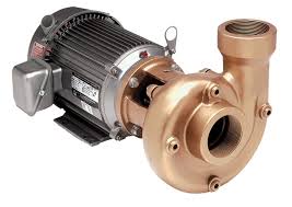 Straight Centrifugal Pumps